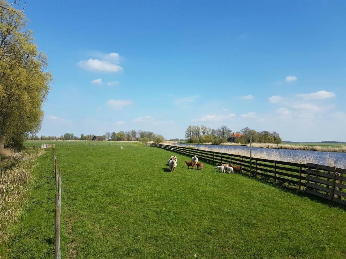 Ferienwohnung Jelsum Aan De Ee Exterior foto